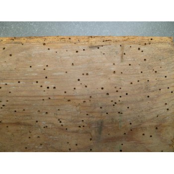 Houtworm bestrijden met HM1 van galtane - Traitement de la vrillettes du bois avec le HM1 de Galtane.