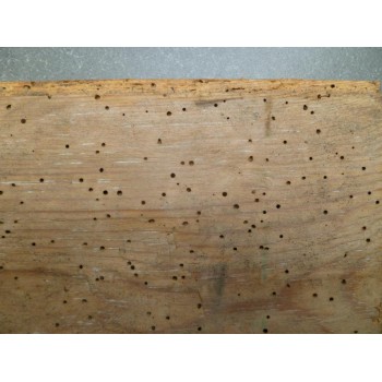 Houtworm bestrijden met HM1 van galtane - Traitement de la vrillettes du bois avec le HM1 de Galtane. Houtworm bestrijden met HM1 van galtane - Traitement de la vrillettes du bois avec le HM1 de Galtane.