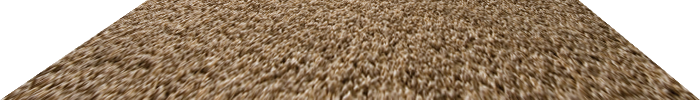 sol