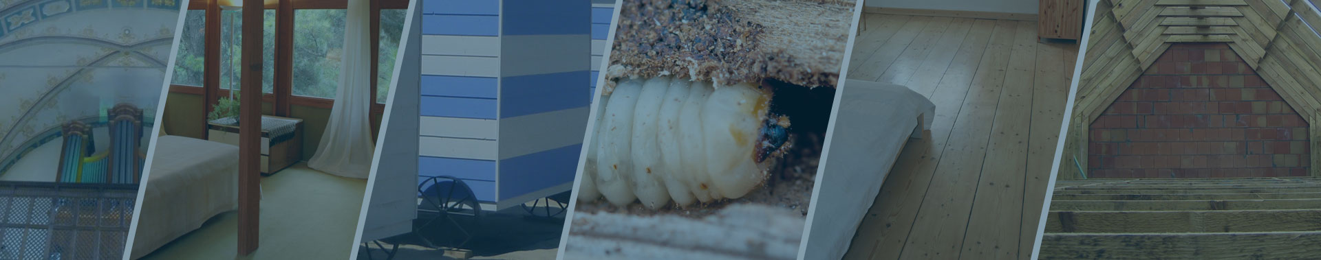 Een oplossing voor al uw projecten